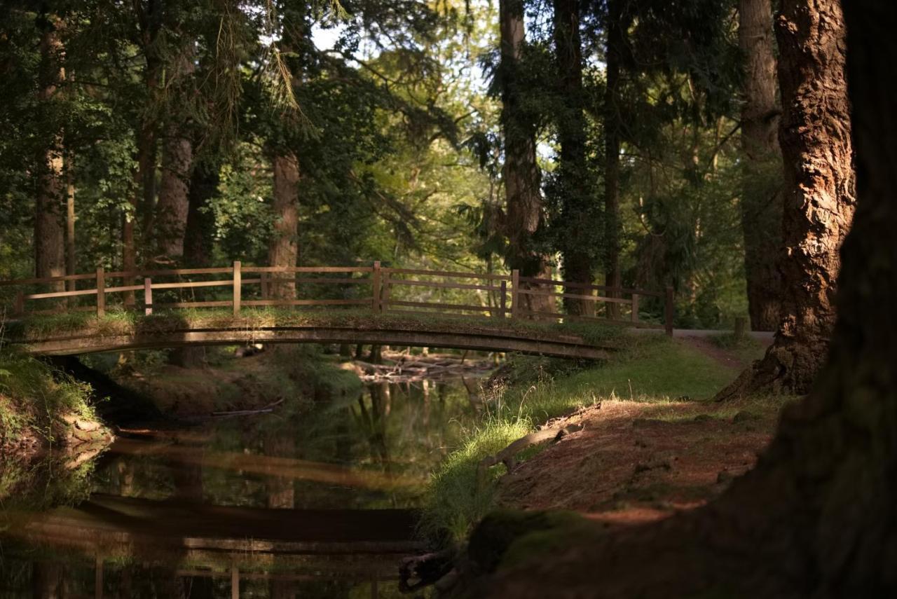 The Cloud Brockenhurst Buitenkant foto